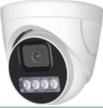 Dual-light 4-lamp Dome Camera